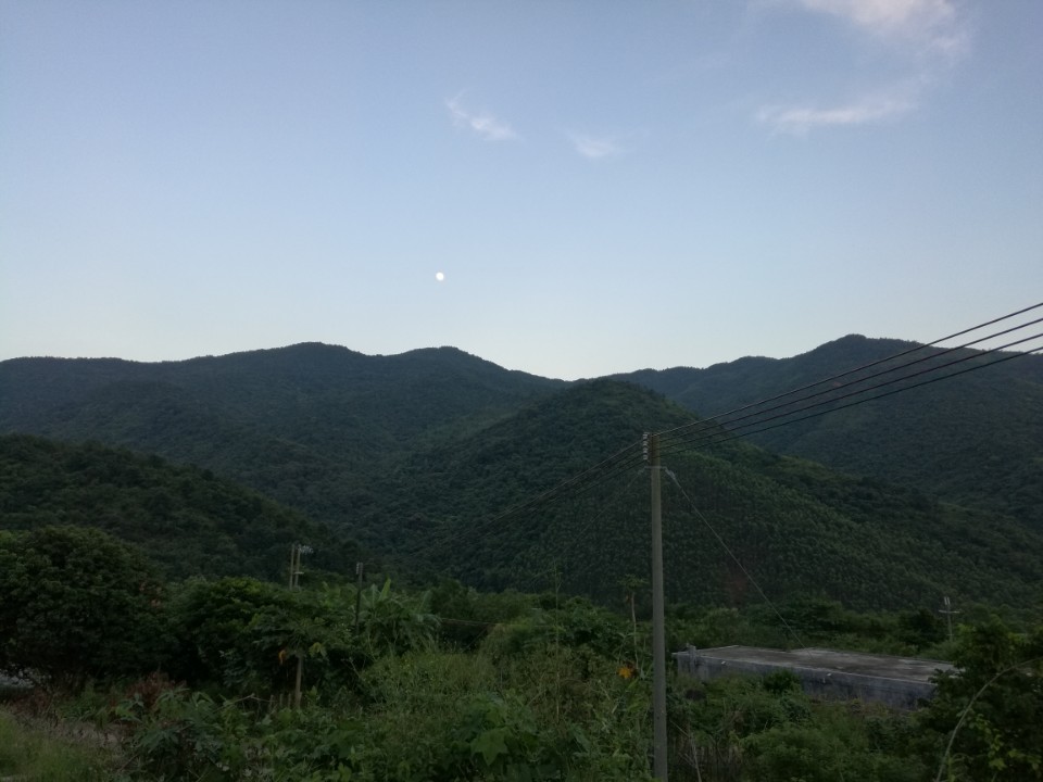 广东惠东古田自然保护区生态恢复与生物多样性保护协同发展新进展