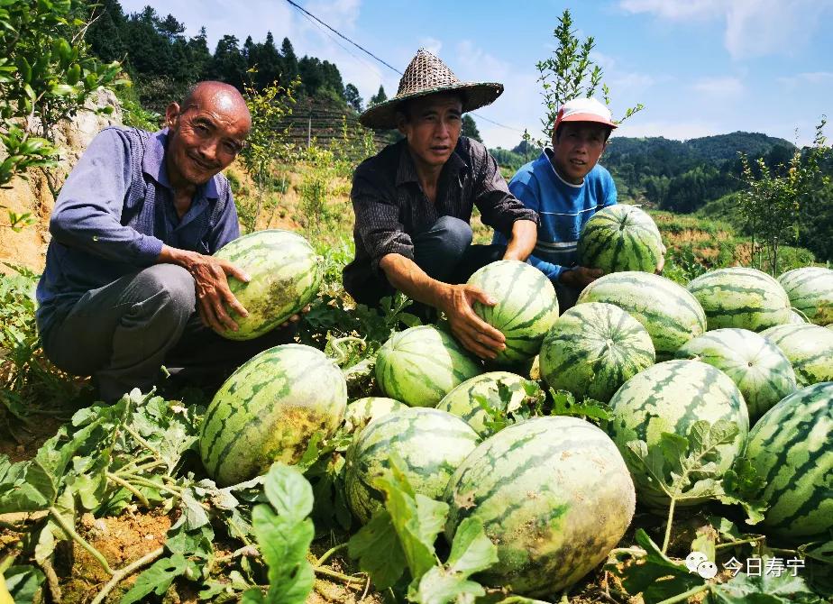 芹洋乡迈向繁荣和谐新时代的最新发展规划