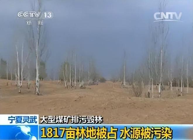 猪石头林场最新天气状况播报