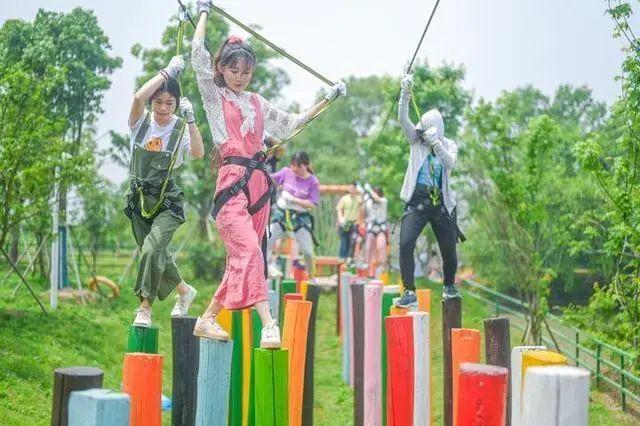 后坝村新项目，乡村振兴的新动力